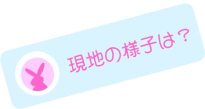 現地の様子は？